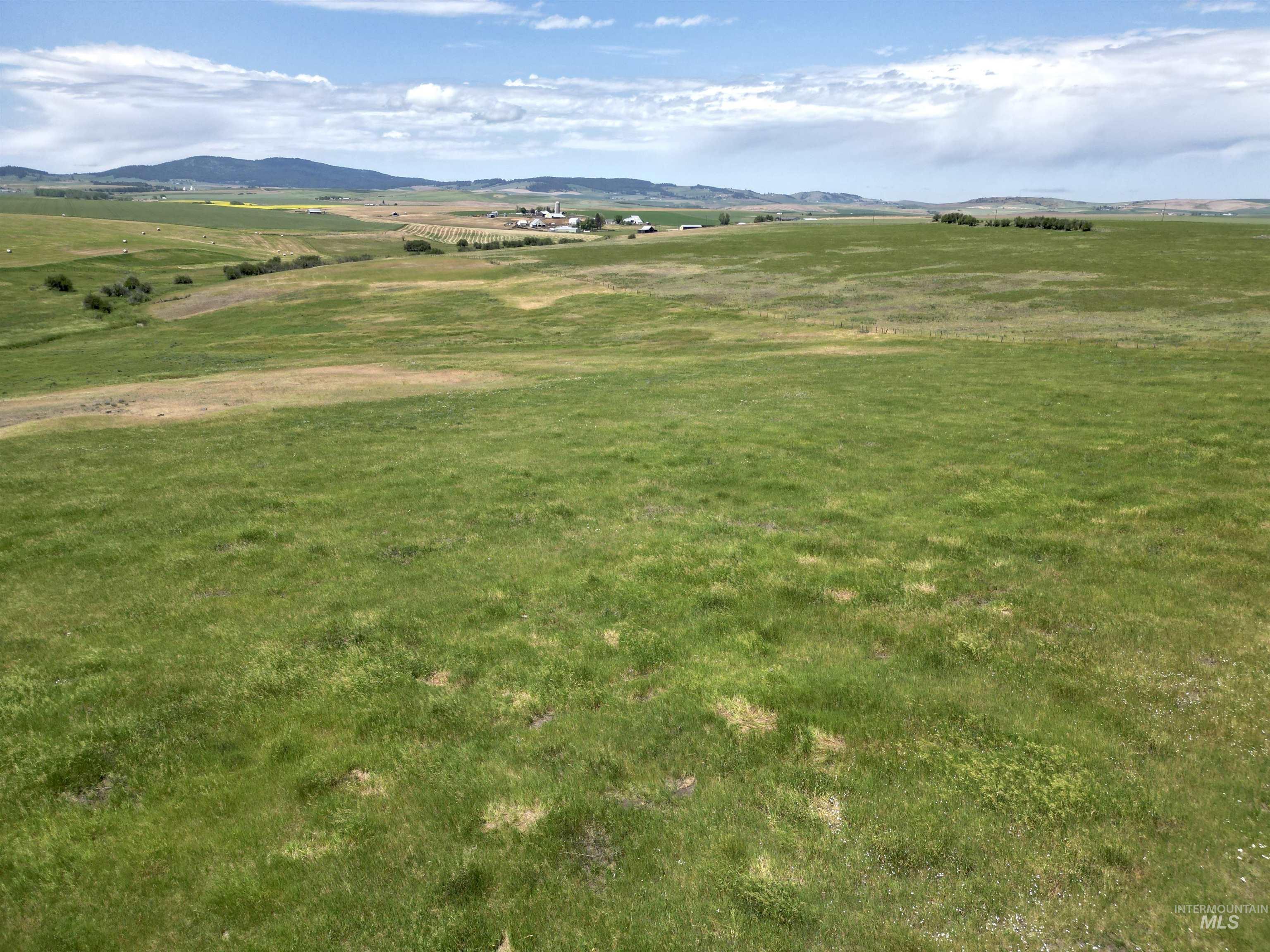 Tbd Wasem Road Cottonwood, ID 83522 - Photo 11 of 20 View of mountain backdrop featuring rural landscape