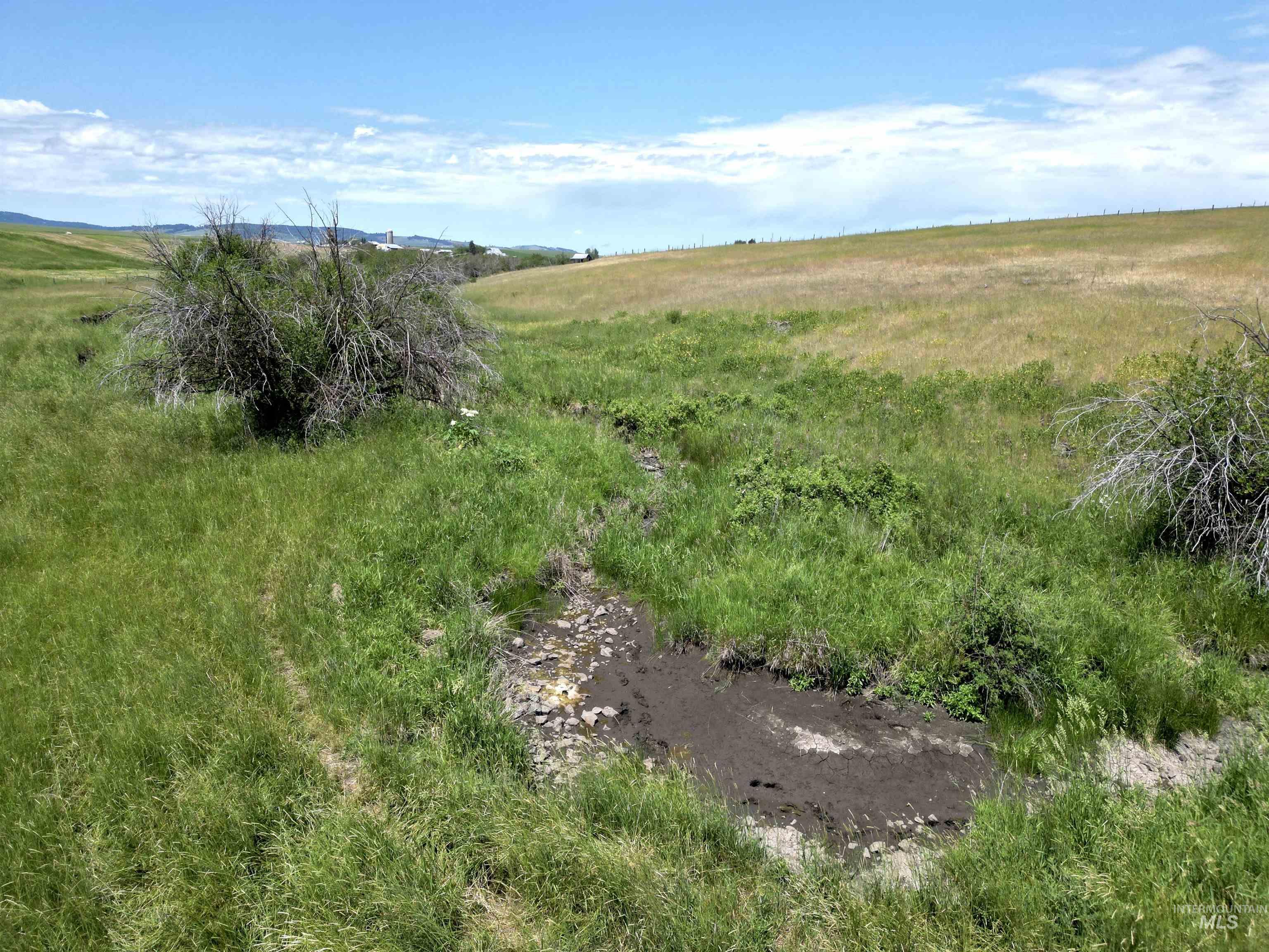 Tbd Wasem Road Cottonwood, ID 83522 - Photo 15 of 20 View of undeveloped land featuring rural landscape