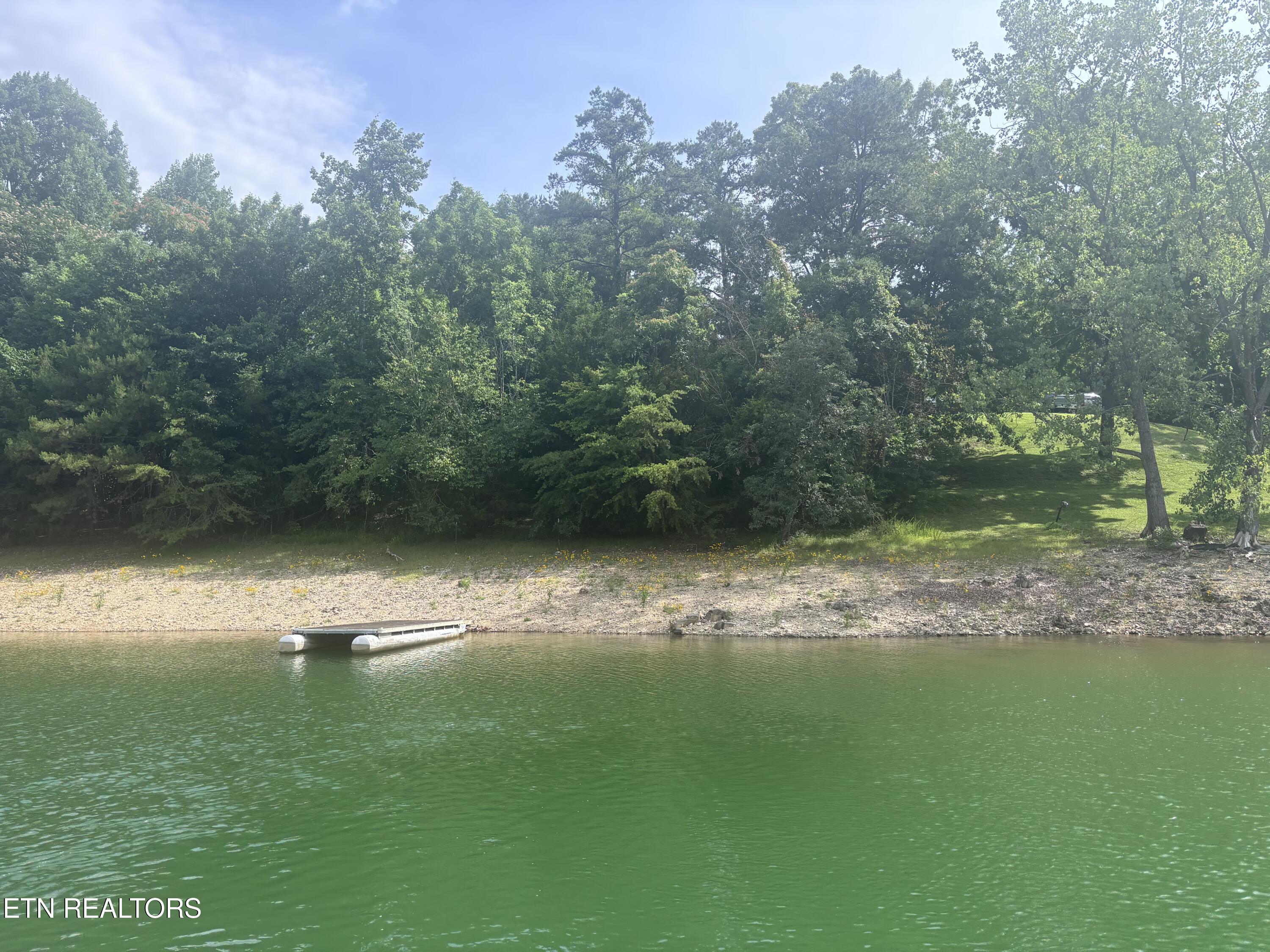2327 Boat Dock Road Talbott, TN 37877 - Photo 4 of 13 IMG_0044