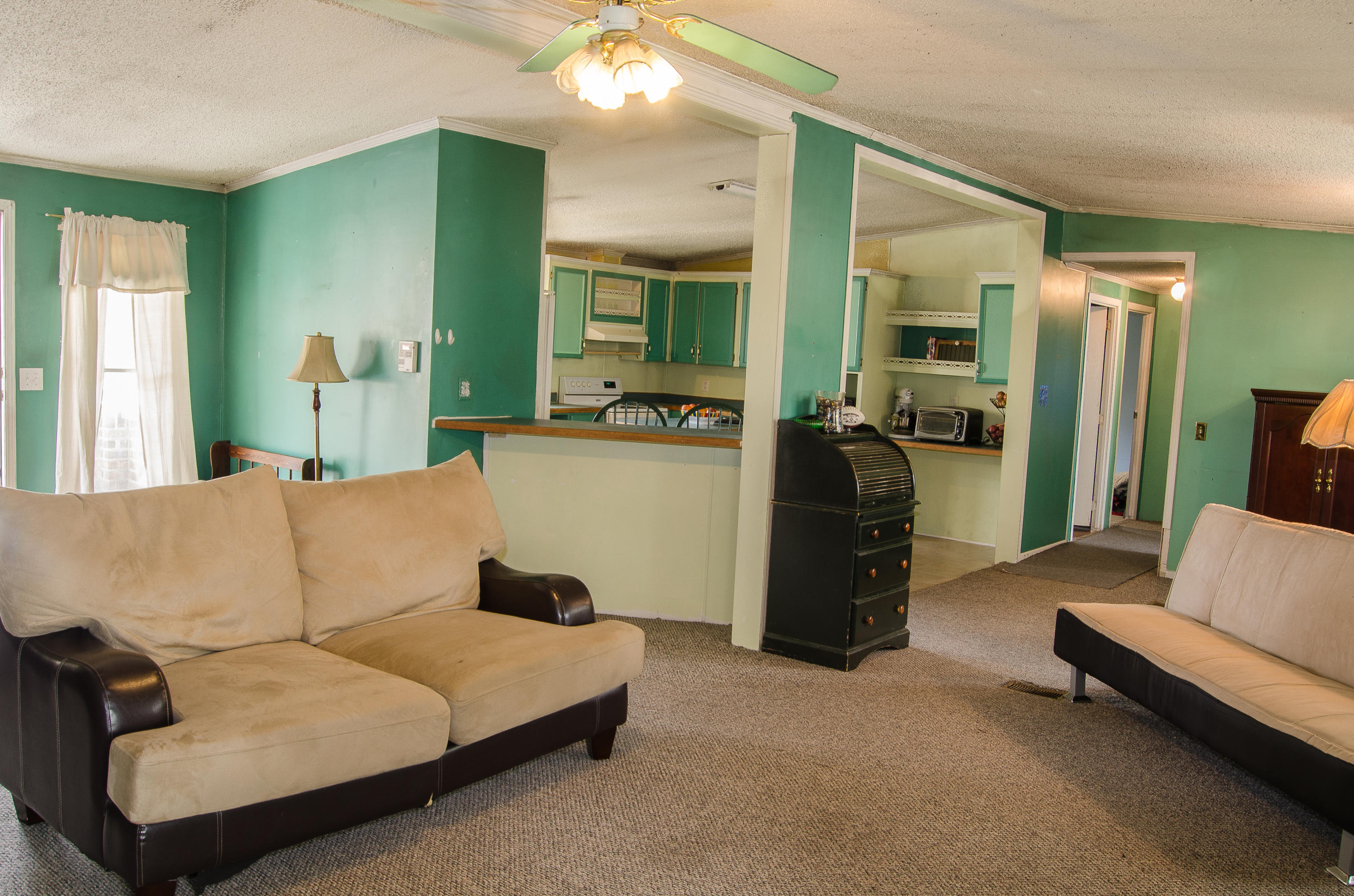 1229 Lieben Road Mount Pleasant, SC 29466 - Photo 2 of 14 DSC_1525.jpg