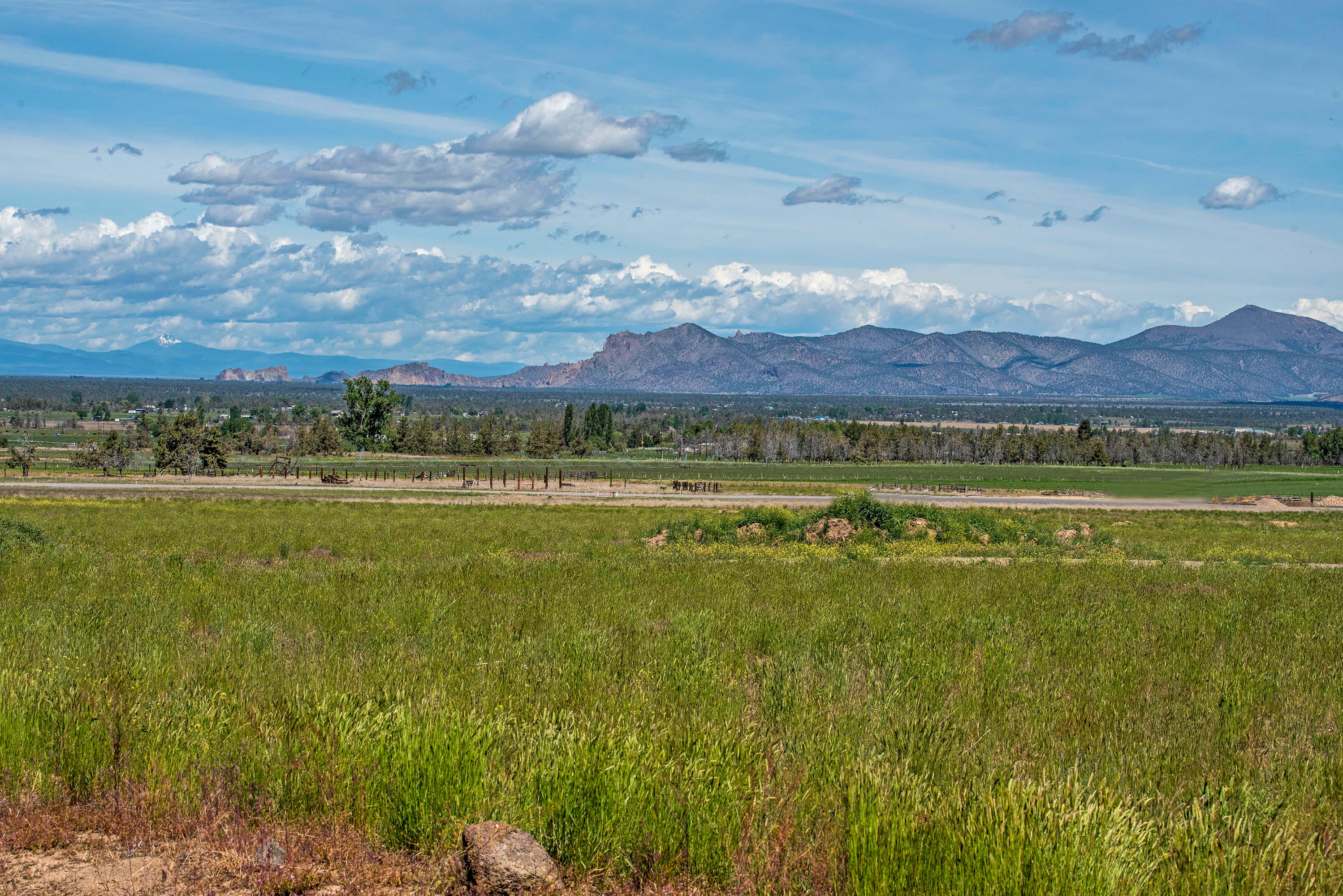 16 Southwest Mill Iron Circle Powell Butte, OR 97753 - Photo 21 of 25 DSC_8690