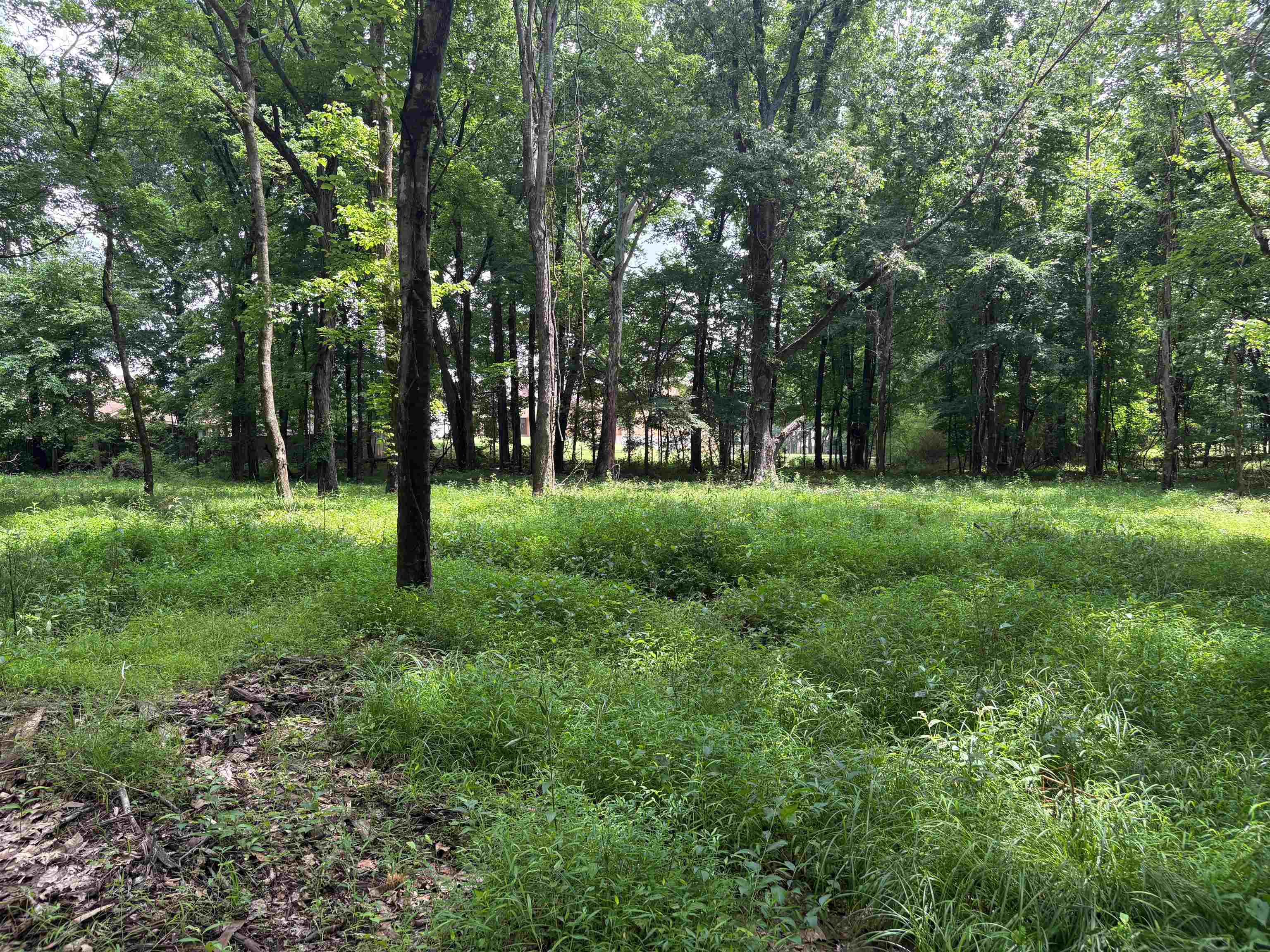 0 Billy Maher Road Bartlett, TN 38135 - Photo 14 of 19