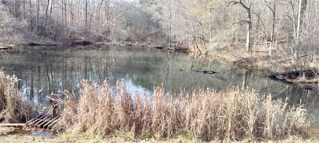 106 Gettysburg Place Atlanta, GA 30350 - Photo 15 of 15 a bathroom with a shower