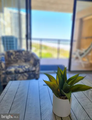 a view of a flower in a yard