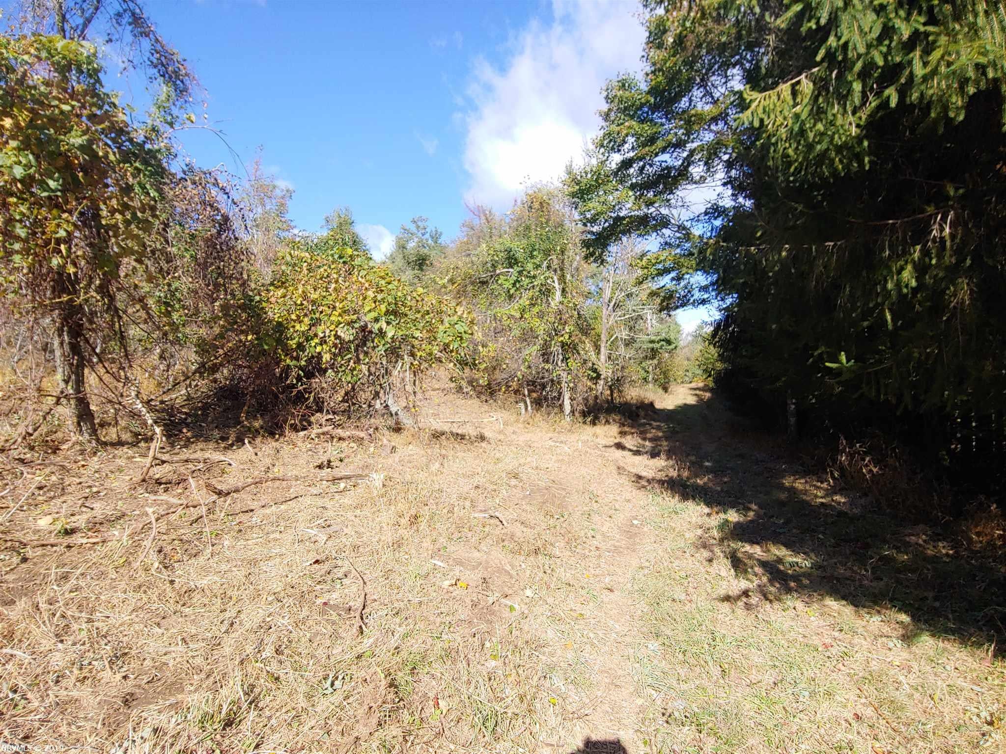 Old Fields Road Floyd, VA 24091 - Photo 2 of 10 Gallery Image 2
