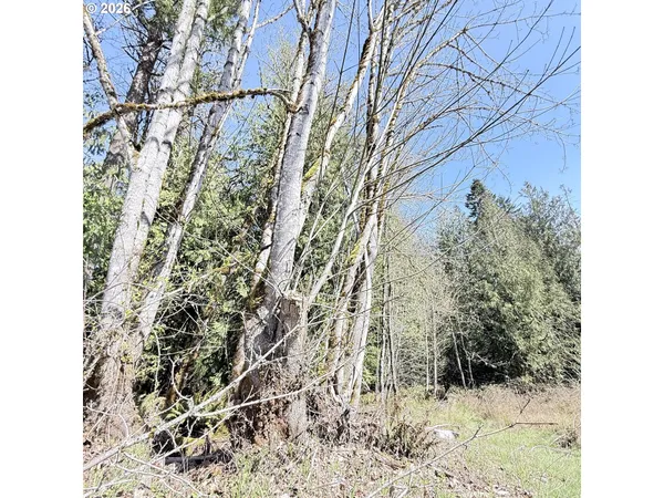 $75,000 | 0 North Louisiana Avenue, Vernonia, OR 97064