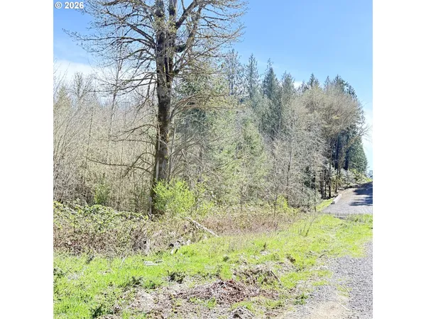 $75,000 | 0 North Louisiana Avenue, Vernonia, OR 97064