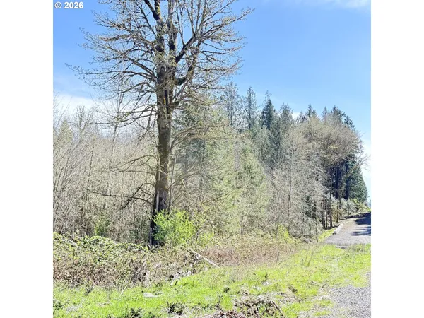 $75,000 | 0 North Louisiana Avenue, Vernonia, OR 97064