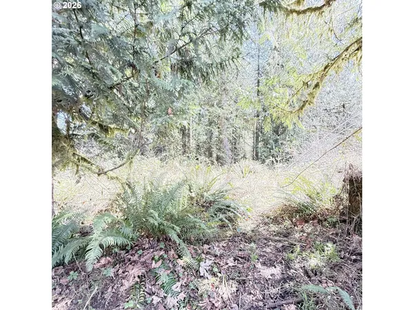 $75,000 | 0 North Louisiana Avenue, Vernonia, OR 97064