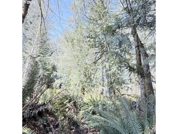 $75,000 | 0 North Louisiana Avenue, Vernonia, OR 97064