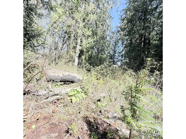 $75,000 | 0 North Louisiana Avenue, Vernonia, OR 97064