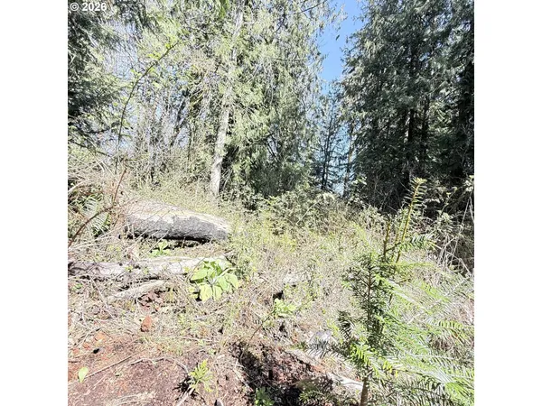 $75,000 | 0 North Louisiana Avenue, Vernonia, OR 97064