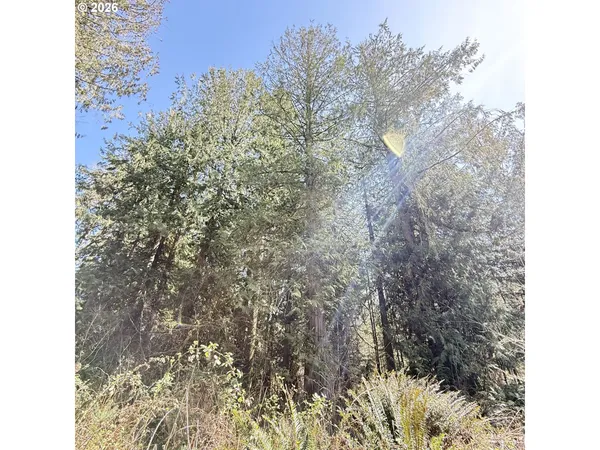 $75,000 | 0 North Louisiana Avenue, Vernonia, OR 97064