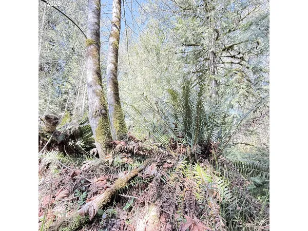 $75,000 | 0 North Louisiana Avenue, Vernonia, OR 97064