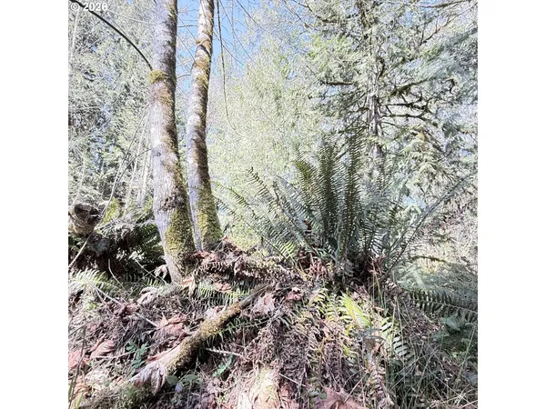 $75,000 | 0 North Louisiana Avenue, Vernonia, OR 97064