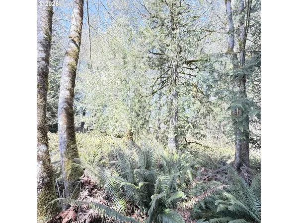 $75,000 | 0 North Louisiana Avenue, Vernonia, OR 97064