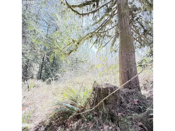 $75,000 | 0 North Louisiana Avenue, Vernonia, OR 97064