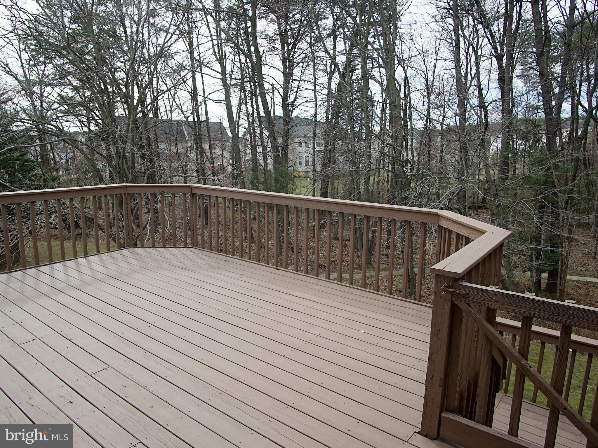 6911 Mayfair Road Laurel, MD 20707 - Photo 21 of 24 Exterior (Rear)