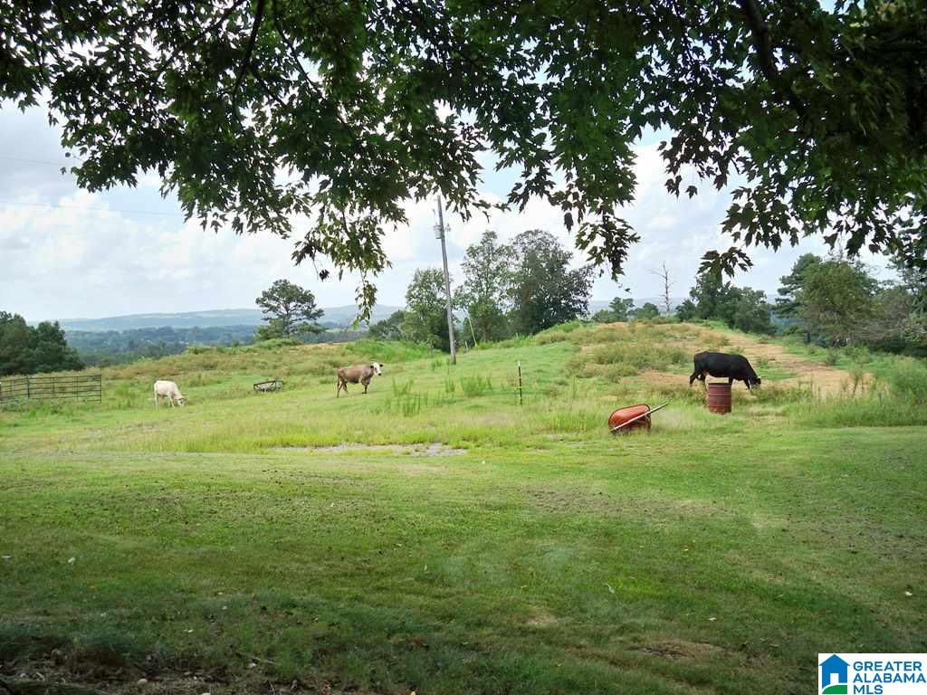 1511 Burgett Road Altoona, AL 35952 - Photo 38 of 38 Gallery Image 38