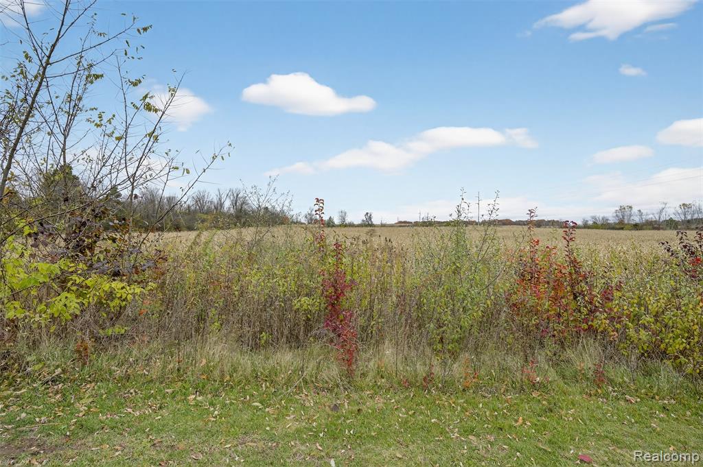 6434 Bristol Road Swartz Creek, MI 48473 - Photo 14 of 29