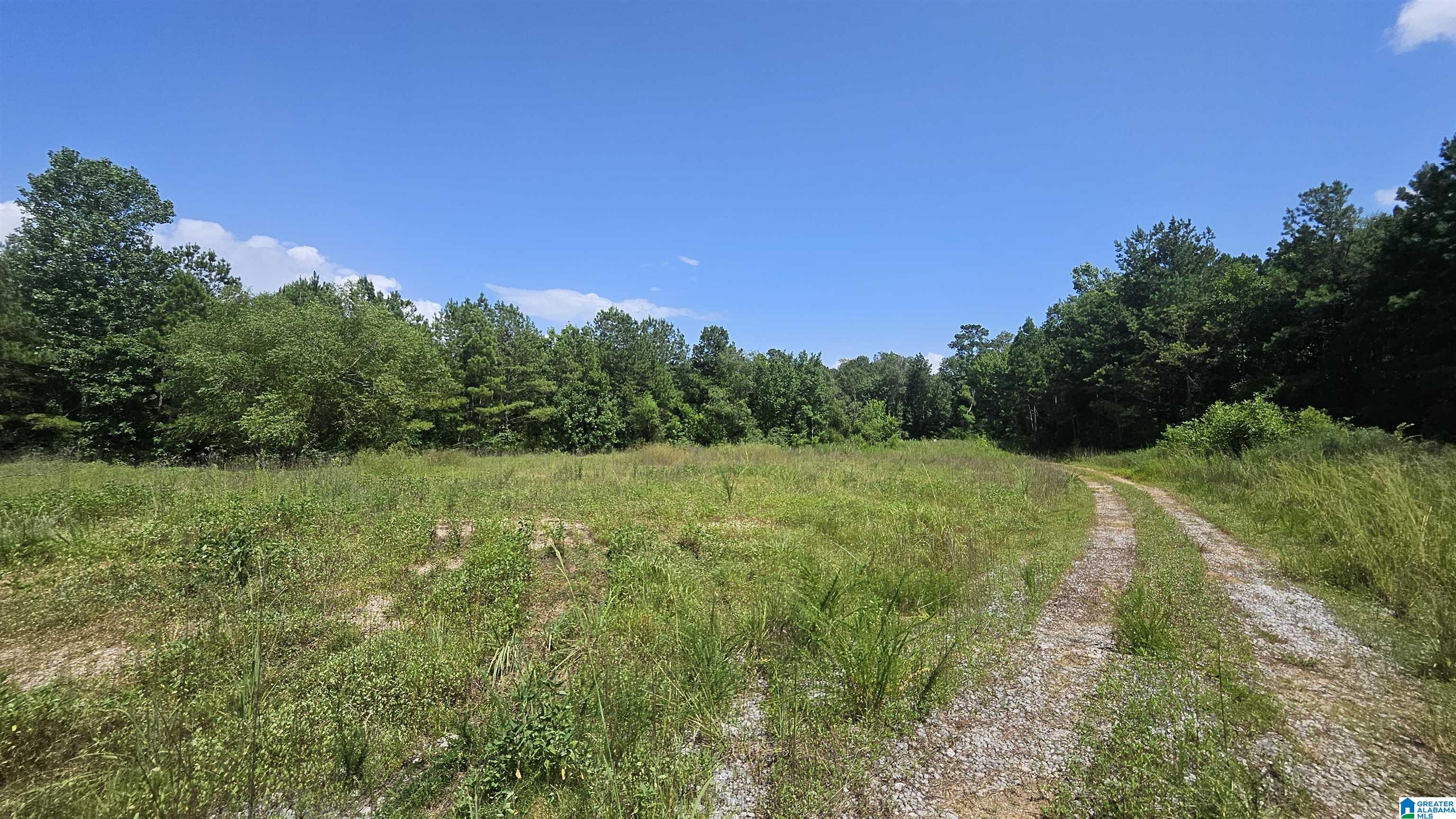 8183 Hopewell Road Bessemer, AL 35022 - Photo 2 of 7