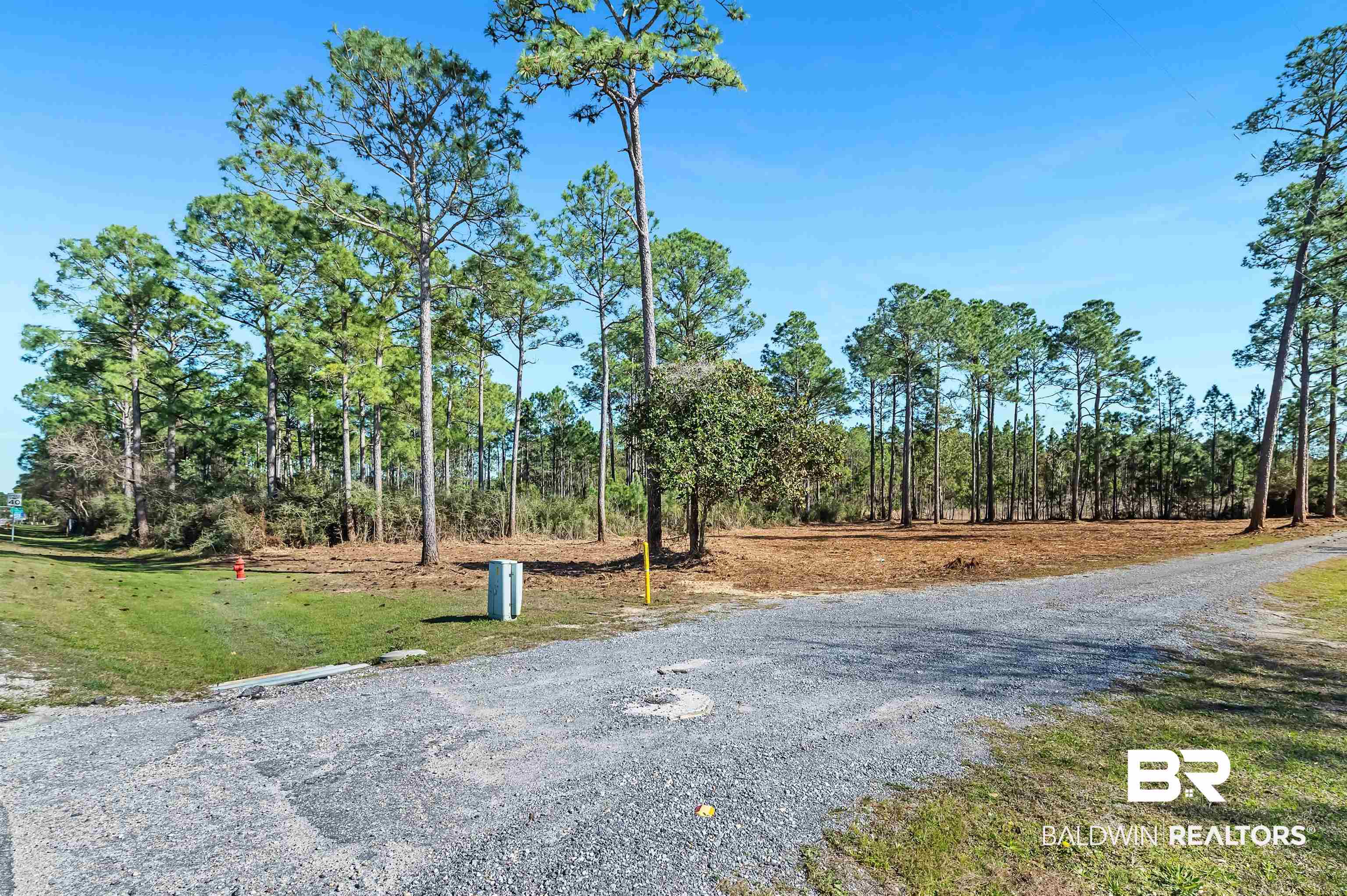 0 Canal Road Orange Beach, AL 36561 - Photo 2 of 25 View of road
