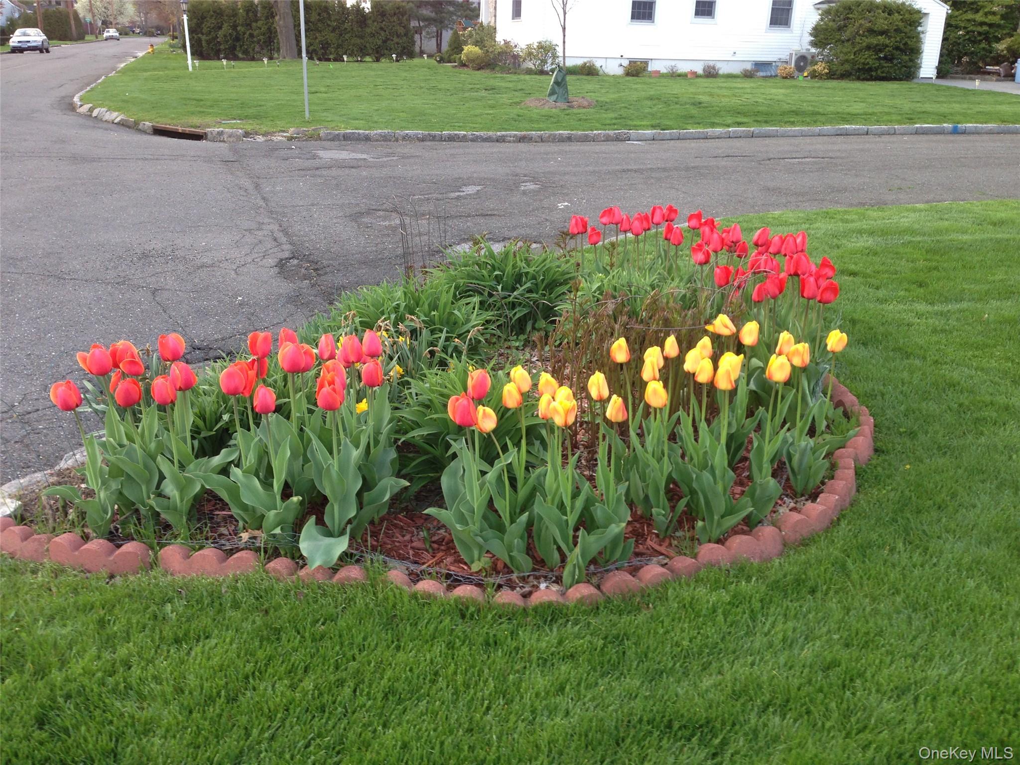 401 Heathcote Road Scarsdale, NY 10583 - Photo 32 of 41 a view of a flower in a yard