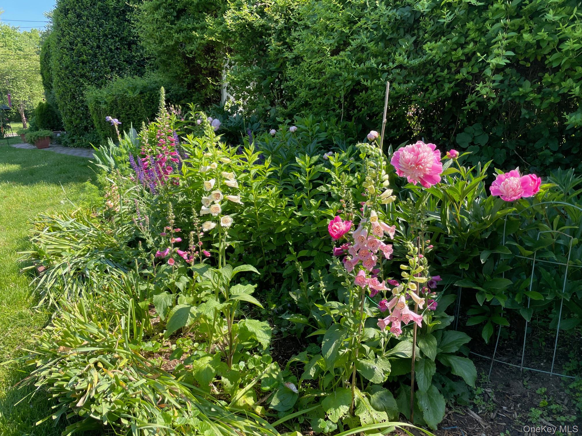 401 Heathcote Road Scarsdale, NY 10583 - Photo 33 of 41 a view of a flower