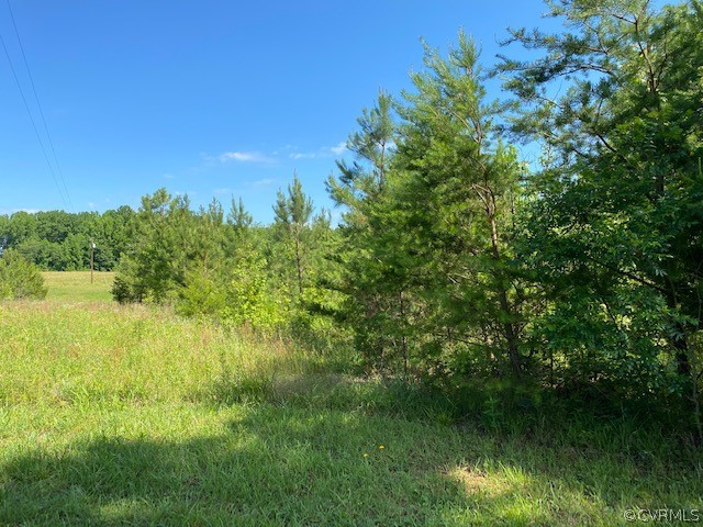 2593 Namozine Road Crewe, VA 23930 - Photo 1 of 10 a view of a lake with a yard