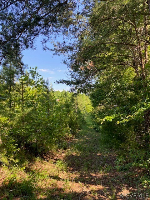 2593 Namozine Road Crewe, VA 23930 - Photo 2 of 10 a view of a yard