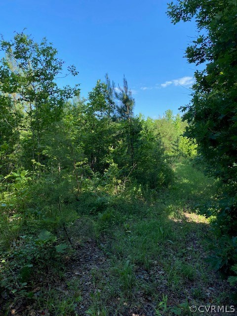 2593 Namozine Road Crewe, VA 23930 - Photo 3 of 10 a view of a lush green space