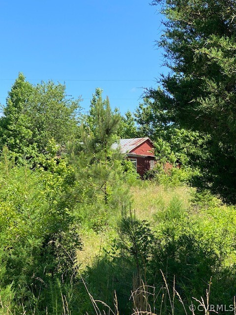 2593 Namozine Road Crewe, VA 23930 - Photo 4 of 10 a view of a yard