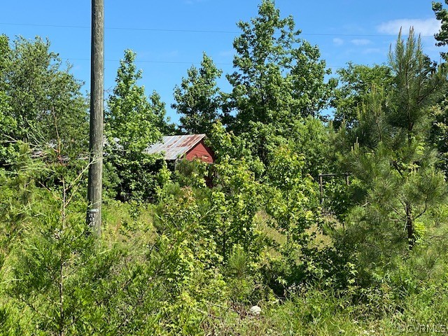 2593 Namozine Road Crewe, VA 23930 - Photo 6 of 10 an aerial view of a house with a yard and trees in the background