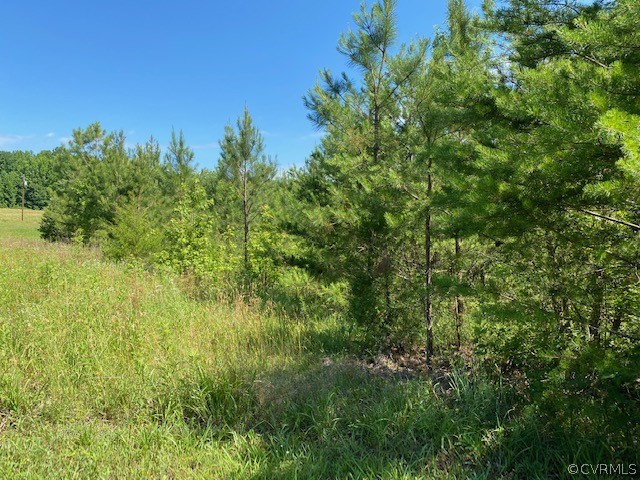 2593 Namozine Road Crewe, VA 23930 - Photo 8 of 10 a view of a lush green space