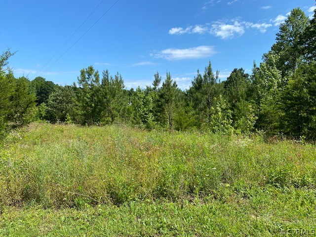 2593 Namozine Road Crewe, VA 23930 - Photo 9 of 10 a view of a green field