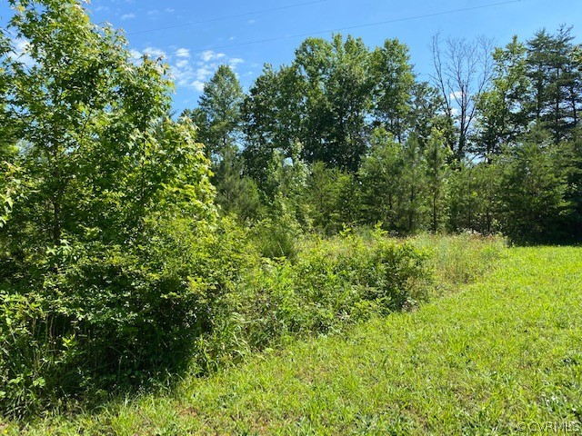 2593 Namozine Road Crewe, VA 23930 - Photo 10 of 10 a view of a garden