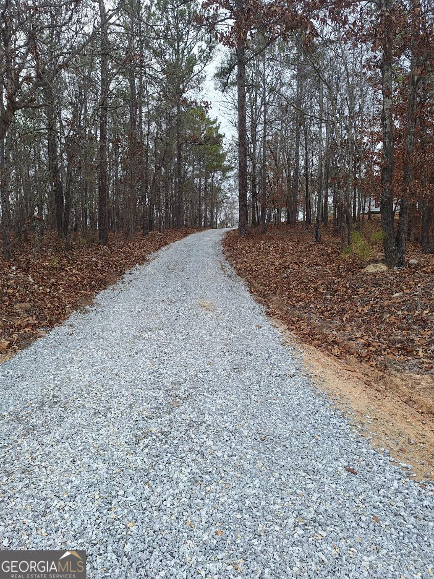 5280 Judge Brown Road Valley, AL 36854 - Photo 12 of 45