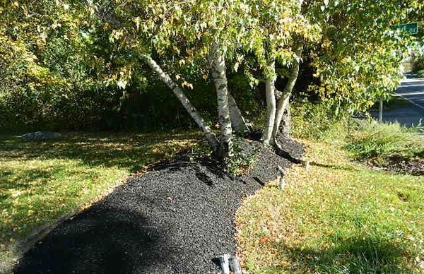 28 Hatherly Road Scituate, MA 02066 - Photo 5 of 21 a view of a yard with plants