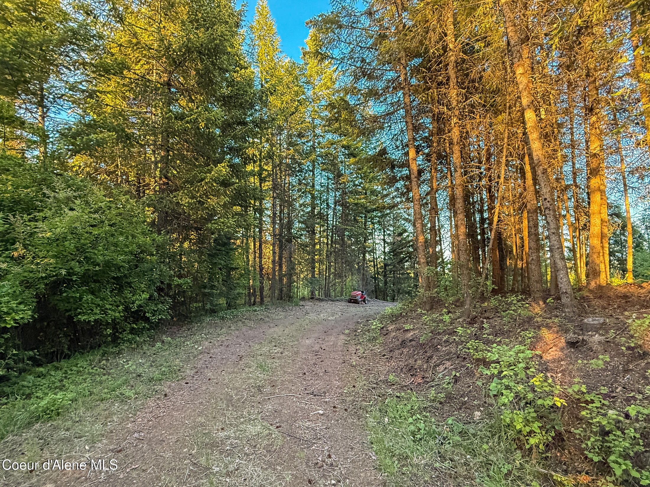 Lot 3 Ridgeview Drive St. Maries, ID 83861 - Photo 10 of 26 28