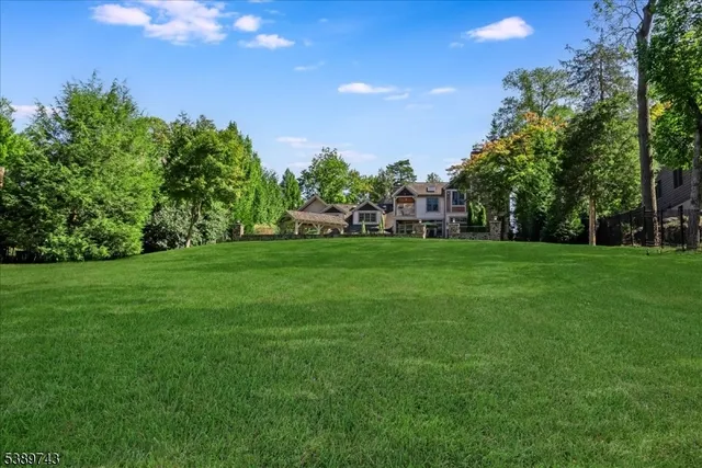 a view of a park with large trees