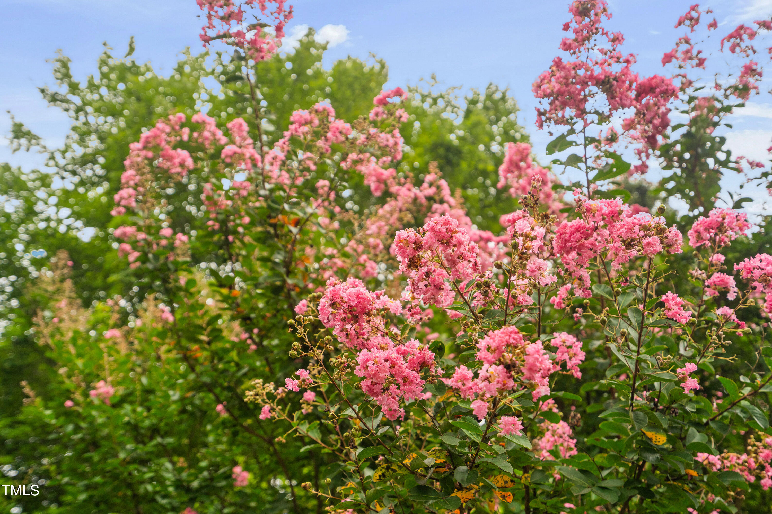 1901 Trailwood Heights Lane, Unit 304 Raleigh, NC 27603 - Photo 39 of 47 6-print-1901-trailwood-heights-ln-304