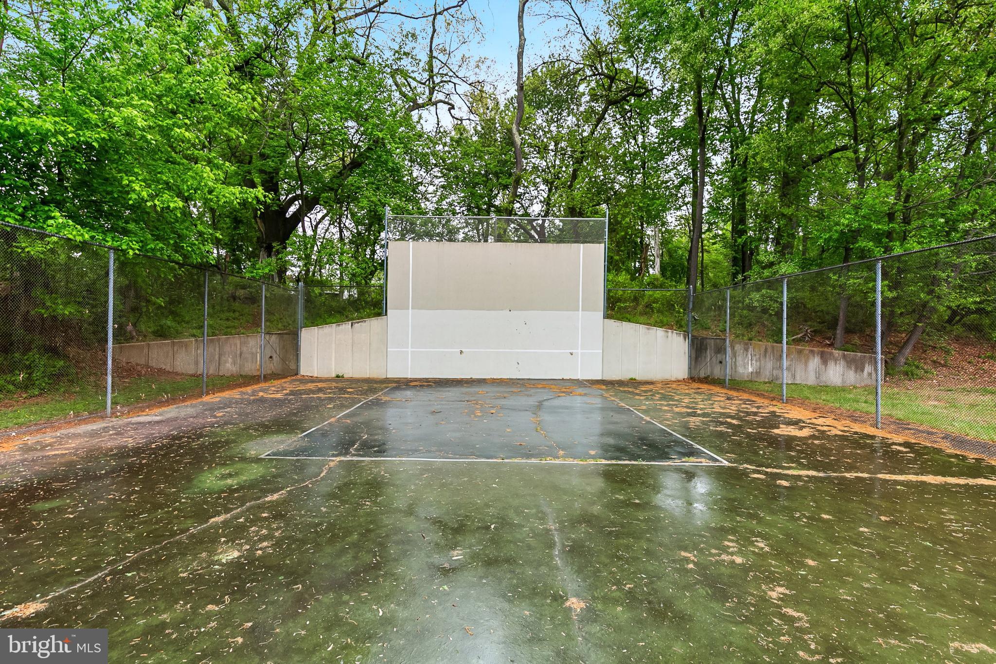 1004 Windmill Lane Silver Spring, MD 20905 - Photo 60 of 60 a view of a backyard