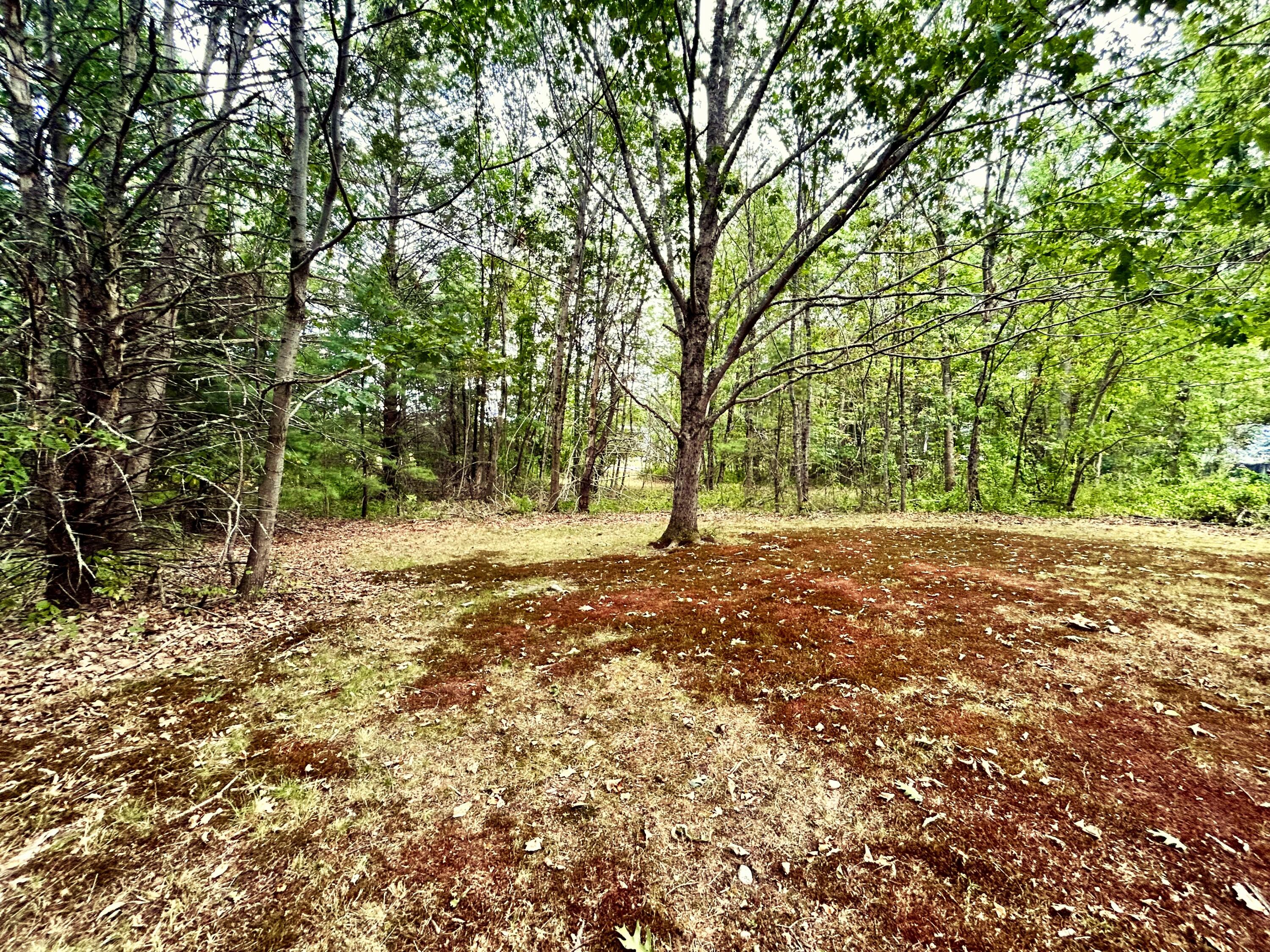 74 Hearn Road Saco, ME 04072 - Photo 12 of 35 IMG_3339