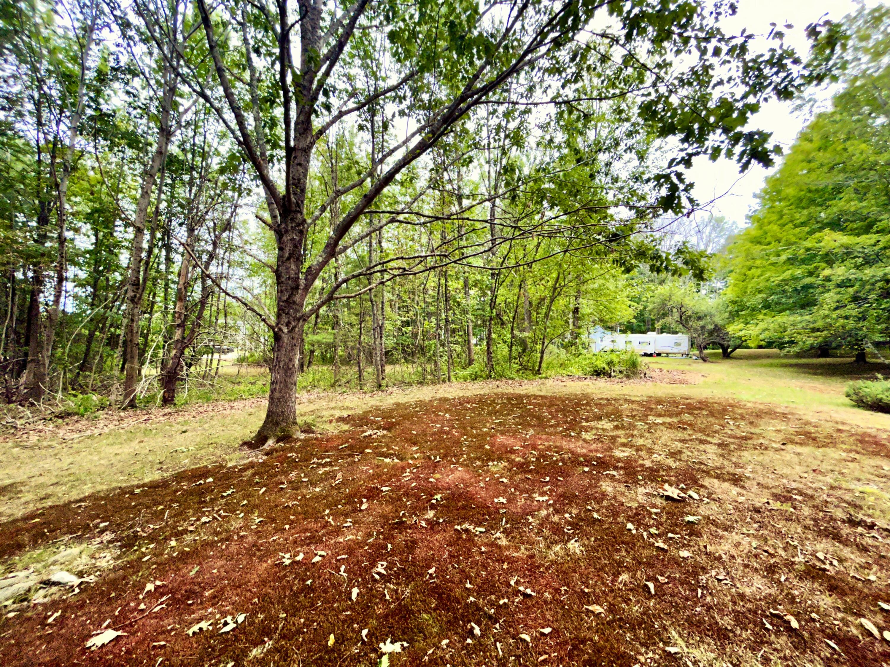 74 Hearn Road Saco, ME 04072 - Photo 10 of 35 IMG_3340