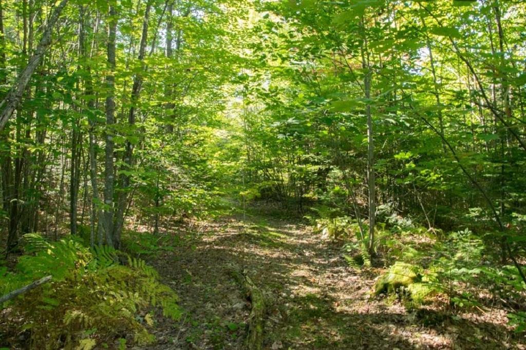 69 Harlin Road Garland, ME 04939 - Photo 11 of 14 trails