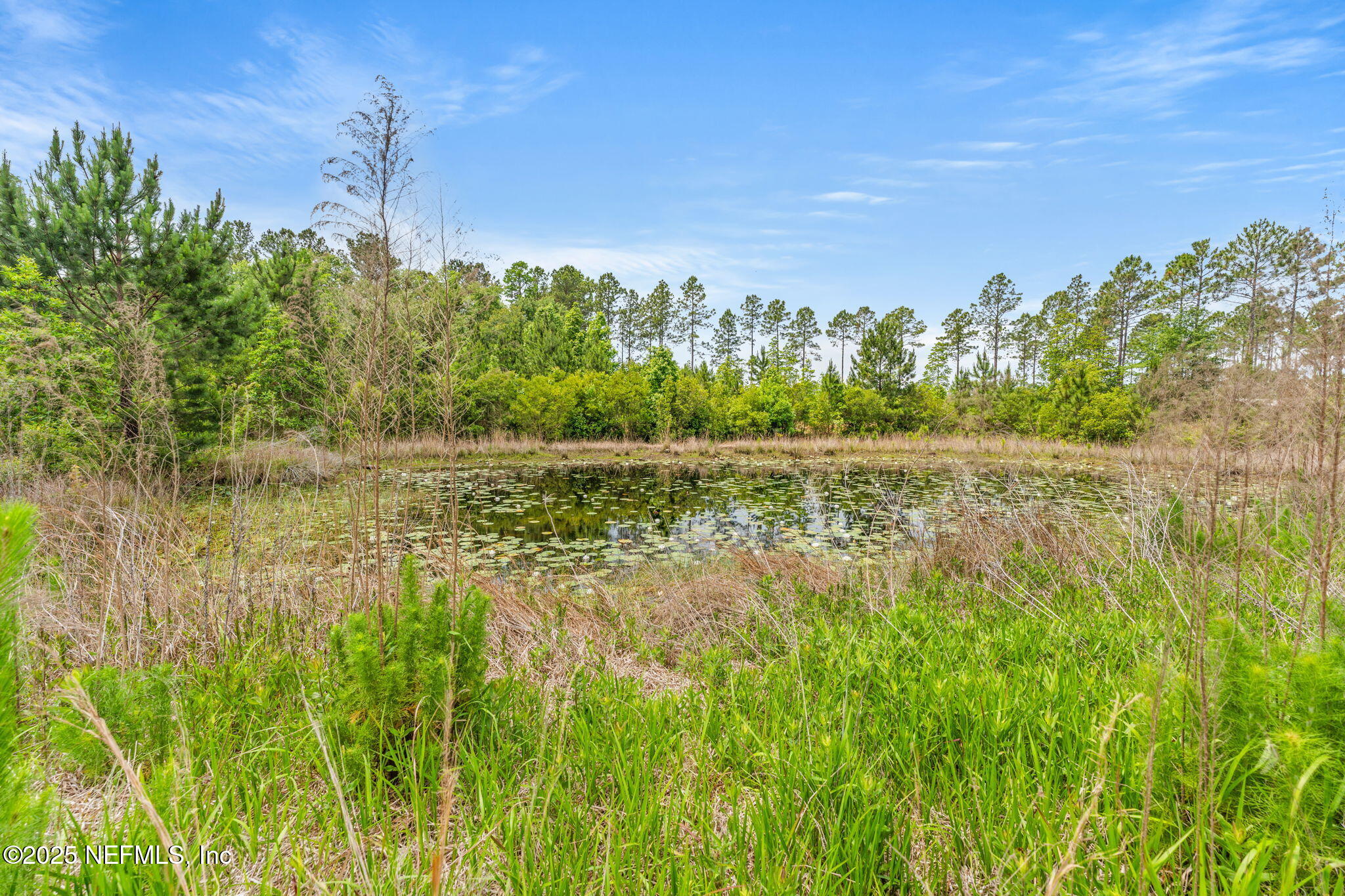 15608 Forest Trail Road Jacksonville, FL 32234 - Photo 27 of 38 28-web-or-mls-DSC09745