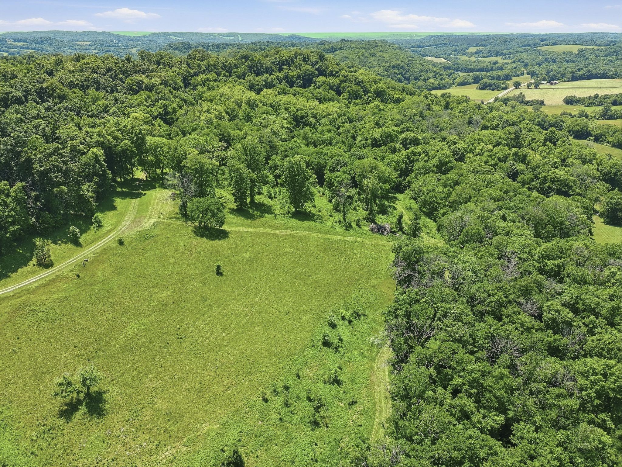 2677 Pigg Schoolhouse Road Santa Fe, TN 38482 - Photo 2 of 35 a view of a field with a tree