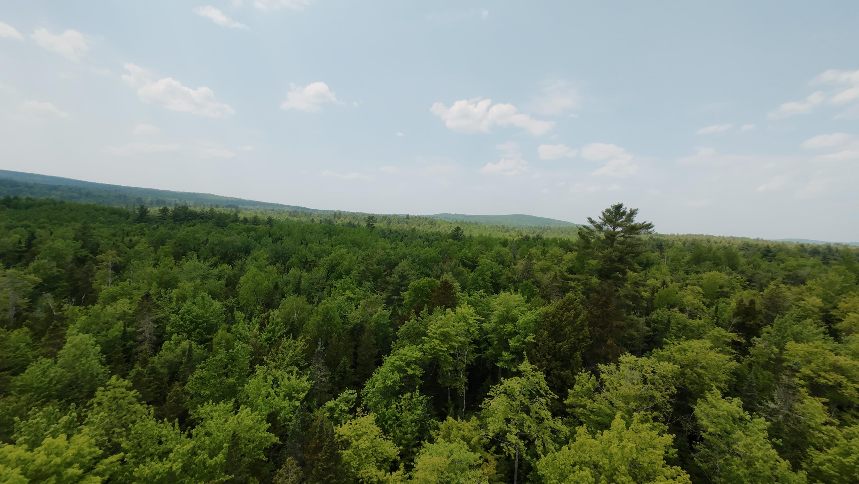 0 Babcock Road Newburgh, ME 04444 - Photo 11 of 52 5