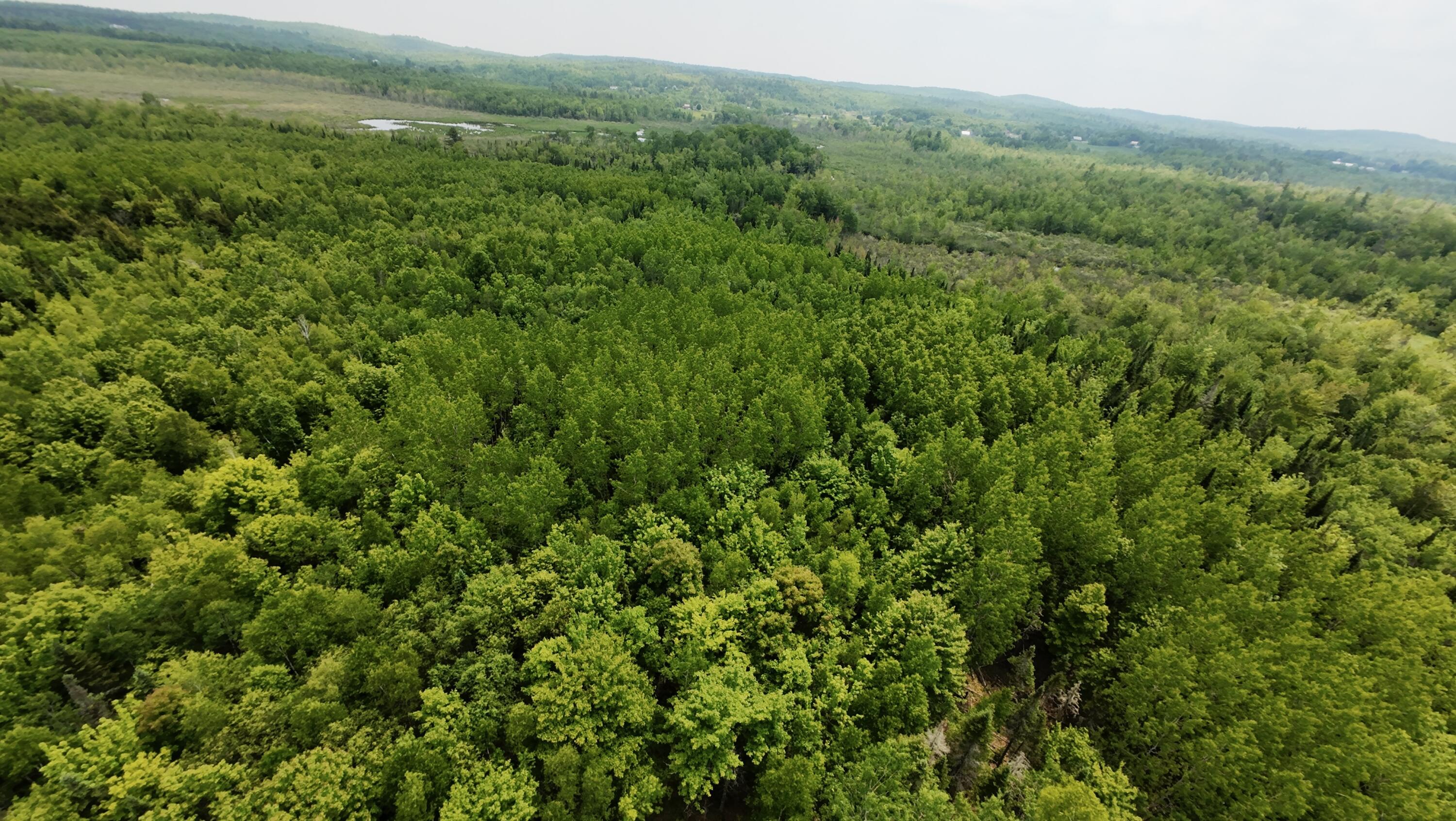 0 Babcock Road Newburgh, ME 04444 - Photo 12 of 52 10