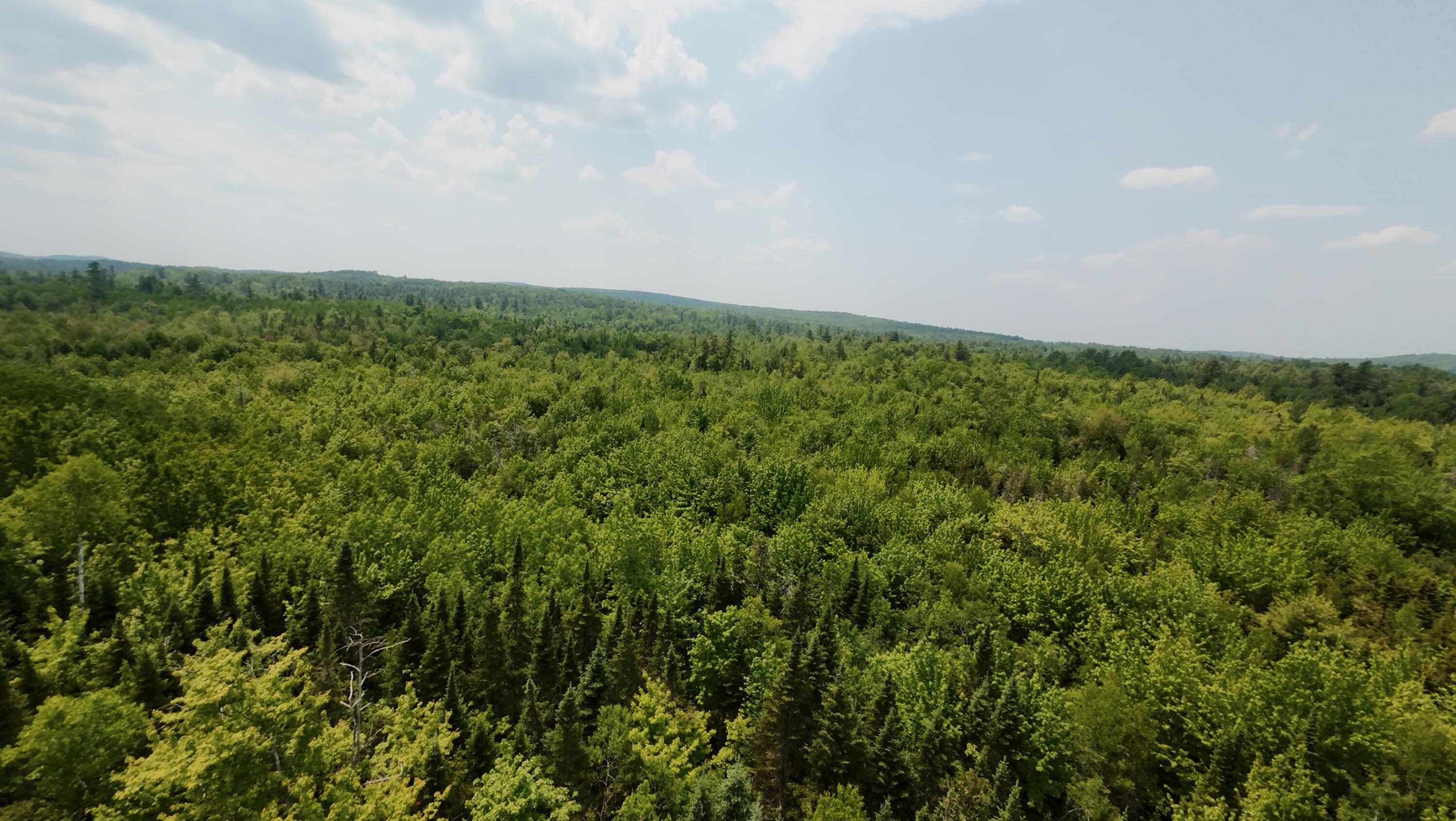 0 Babcock Road Newburgh, ME 04444 - Photo 13 of 52 11